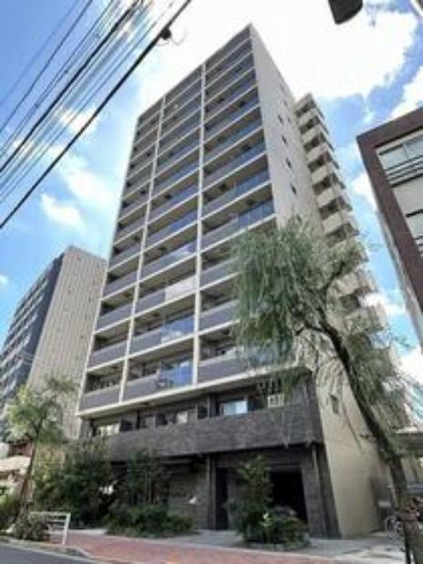 プライムアーバン台東根岸 1001 台東区の物件写真