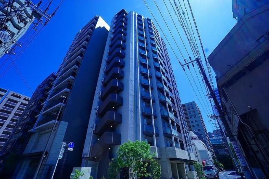 ALTERNA亀戸III 1005 江東区の物件写真